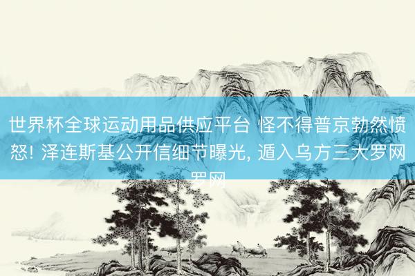 世界杯全球運動用品供應(yīng)平臺 怪不得普京勃然憤怒! 澤連斯基公
