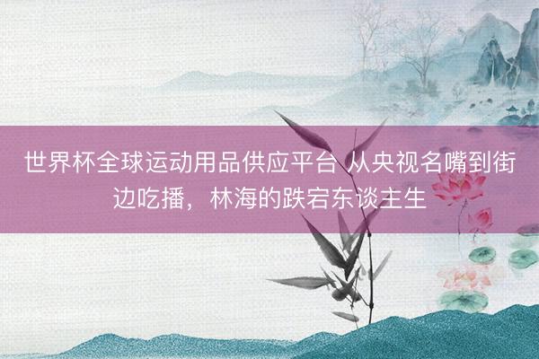 世界杯全球運(yùn)動(dòng)用品供應(yīng)平臺(tái) 從央視名嘴到街邊吃播，林海的跌宕東談主生