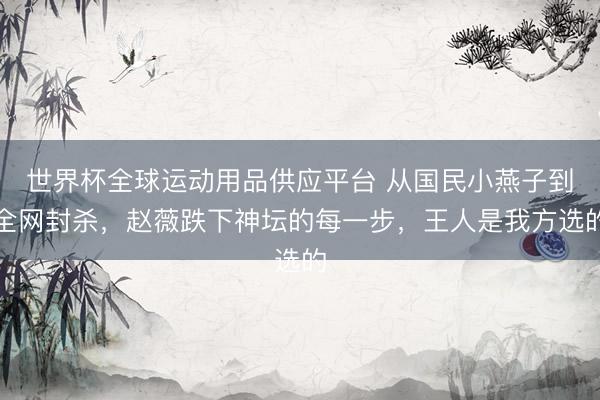 世界杯全球運動用品供應平臺 從國民小燕子到全網封殺，趙薇跌下神壇的每一步，王人是我方選的
